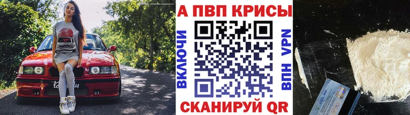 Альфа ПВП СК  KRAKEN как войти  Сызрань 