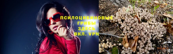 хмурый Абдулино