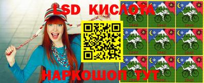 гашик Лесосибирск