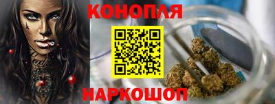 гашик Лесосибирск