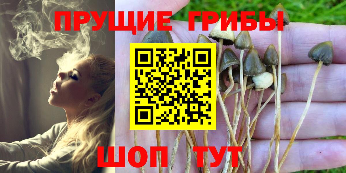 Сызрань  Галлюциногенные грибы MAGIC MUSHROOMS  Вход с VPN  закладка  Галлюциногенные грибы ЛСД 